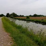 Daire Unner'd Kastanje