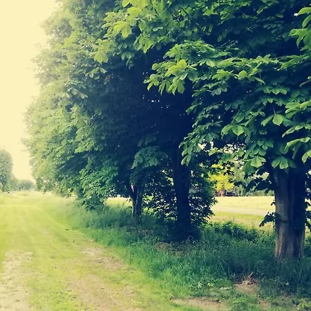 Lägenhet Unner'd Kastanje Moormerland