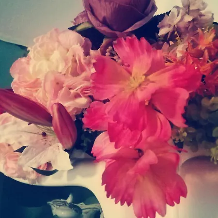 Unner'd Kastanje Διαμέρισμα *