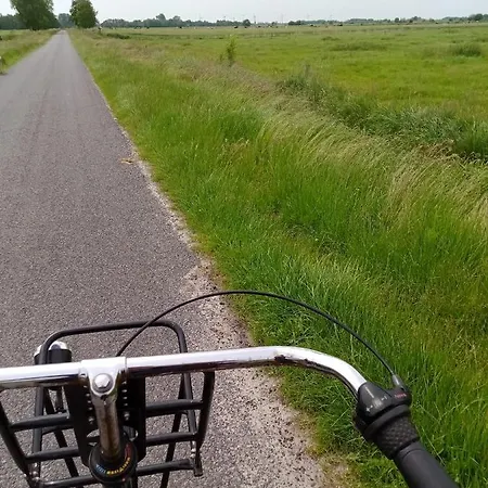 Unner'd Kastanje * Moormerland