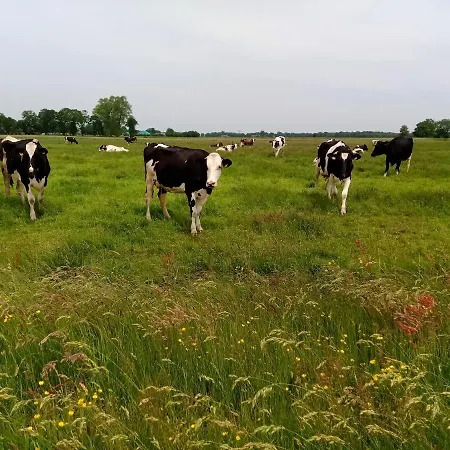 Διαμέρισμα Unner'd Kastanje Moormerland