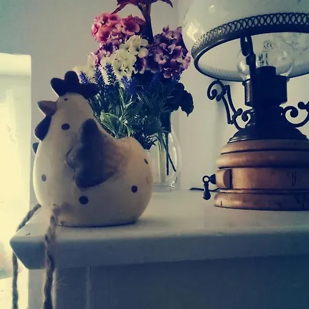 Unner'd Kastanje Lägenhet