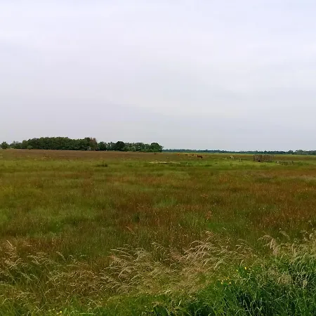 Unner'd Kastanje Moormerland