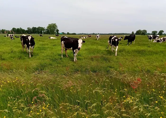 Appartement Unner'd Kastanje Moormerland