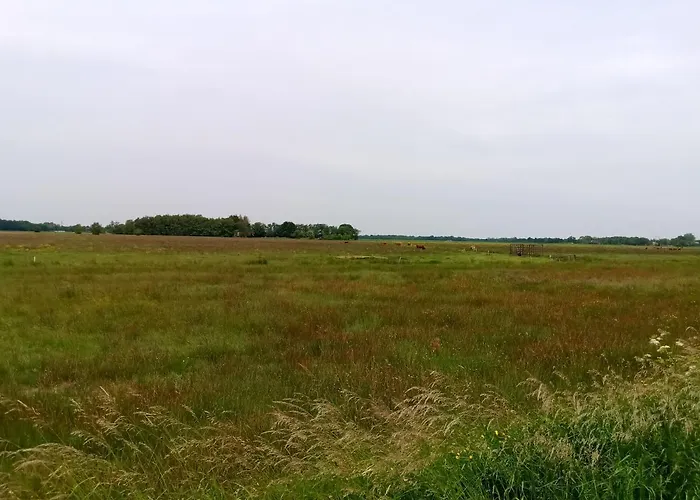 Unner'd Kastanje Moormerland